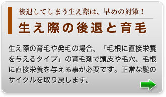 生え際の後退と育毛